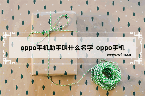 oppo手机助手叫什么名字_oppo手机助手叫啥