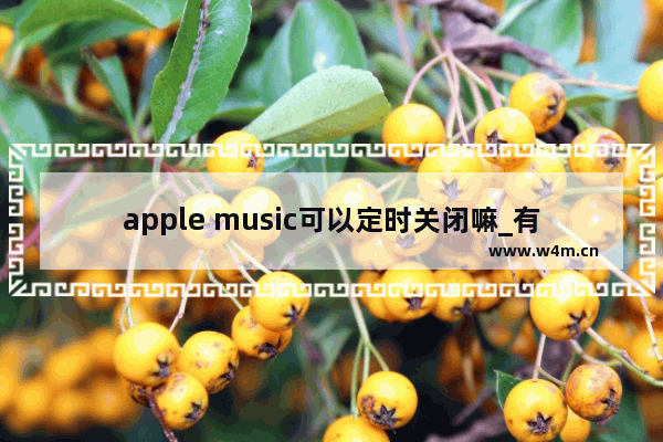 apple music可以定时关闭嘛_有定时关闭功能吗