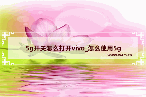 5g开关怎么打开vivo_怎么使用5g