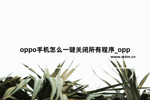 oppo手机怎么一键关闭所有程序_oppo手机如何一键关闭所有程序