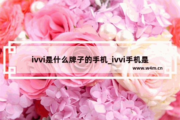 ivvi是什么牌子的手机_ivvi手机是什么手机牌子