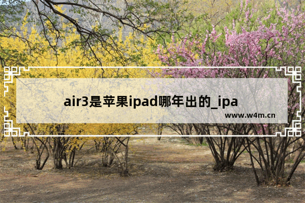 air3是苹果ipad哪年出的_ipa air3是什么时候上市的