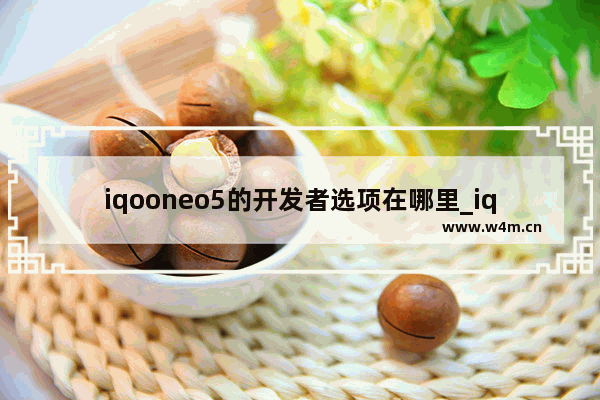 iqooneo5的开发者选项在哪里_iqooneo5怎么开启开发者选项