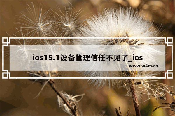 ios15.1设备管理信任不见了_ios15.1设备管理信任找不到了