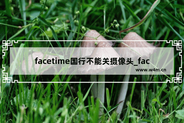 facetime国行不能关摄像头_facetime怎么关闭摄像头