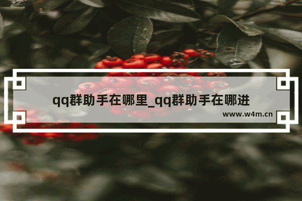 qq群助手在哪里_qq群助手在哪进