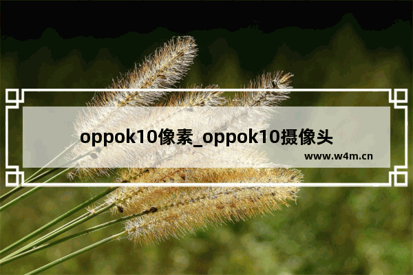 oppok10像素_oppok10摄像头像素是多少