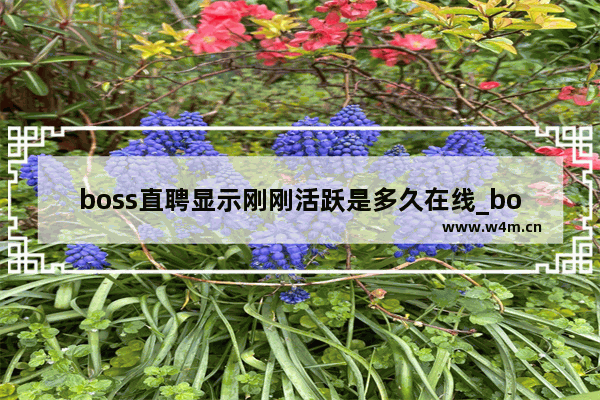 boss直聘显示刚刚活跃是多久在线_boss直聘的刚刚活跃是指多久