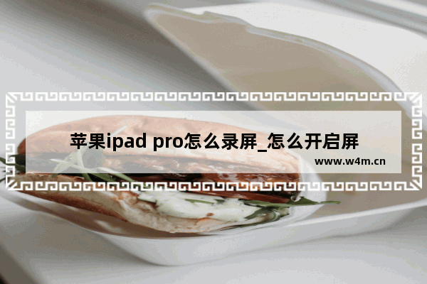 苹果ipad pro怎么录屏_怎么开启屏幕录制