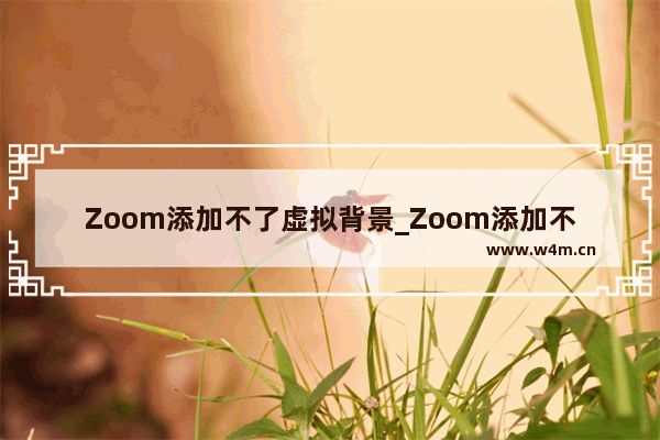 Zoom添加不了虚拟背景_Zoom添加不了虚拟背景怎么办