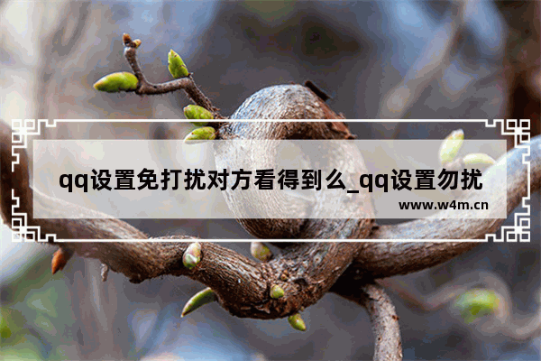 qq设置免打扰对方看得到么_qq设置勿扰模式看得到么