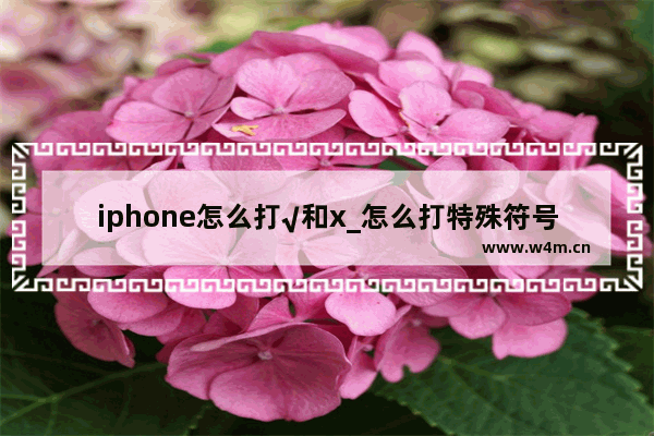 iphone怎么打√和x_怎么打特殊符号