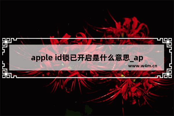 apple id锁已开启是什么意思_apple id锁已开启啥意思