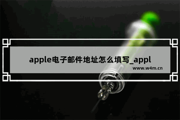 apple电子邮件地址怎么填写_apple电子邮件地址如何填写