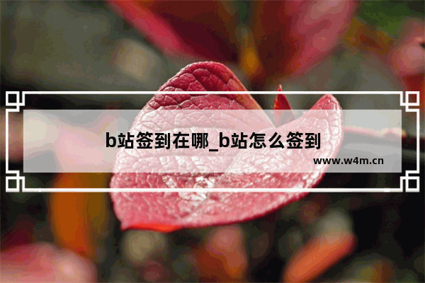 b站签到在哪_b站怎么签到