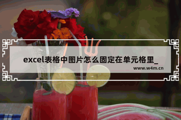 excel表格中图片怎么固定在单元格里_如何固定excel中的图片