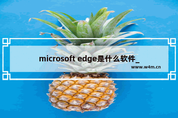 microsoft edge是什么软件_microsoft edge是什么