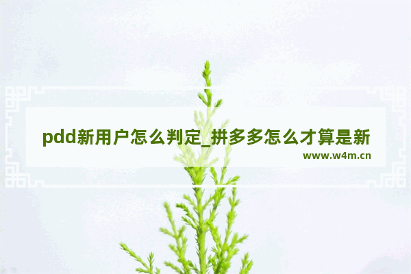 pdd新用户怎么判定_拼多多怎么才算是新用户