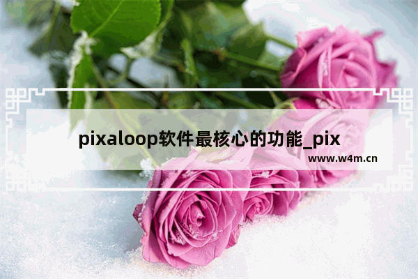 pixaloop软件最核心的功能_pixaloop软件最核心的功能是什么