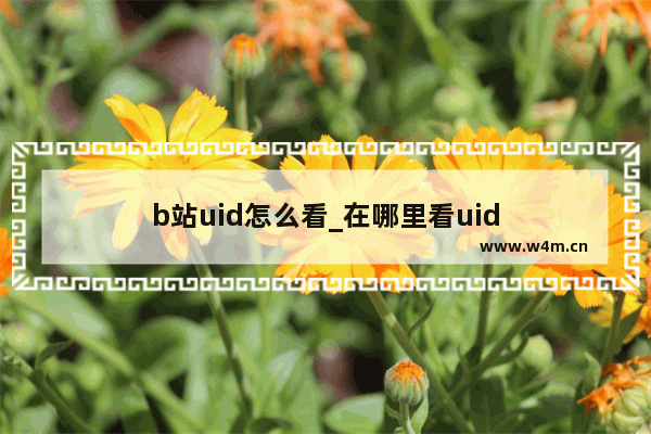 b站uid怎么看_在哪里看uid