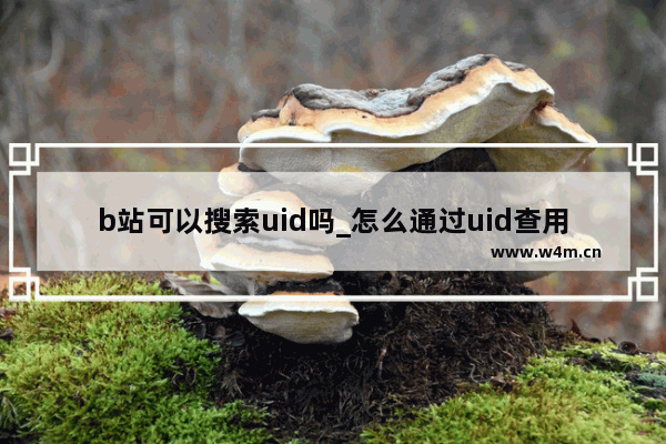 b站可以搜索uid吗_怎么通过uid查用户