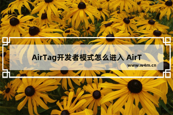 AirTag开发者模式怎么进入 AirTag隐藏的开发者模式进入方法