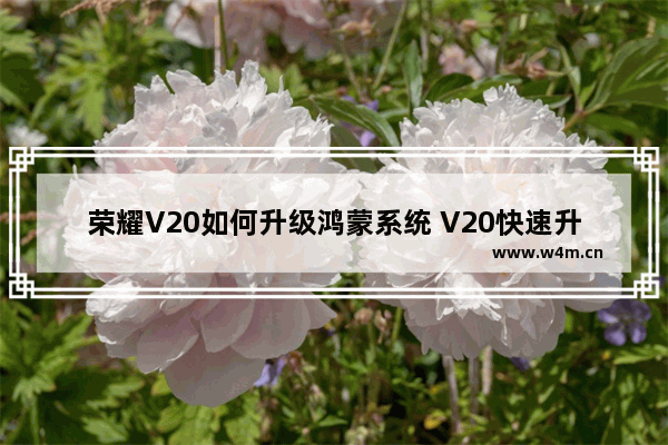 荣耀V20如何升级鸿蒙系统 V20快速升级教程