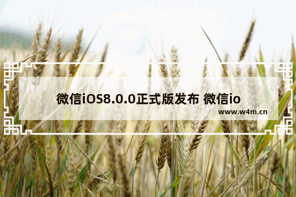 微信iOS8.0.0正式版发布 微信ios8.0.8更新了那些内容