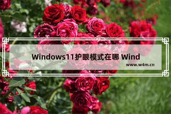 Windows11护眼模式在哪 Windows11怎么设置护眼模式