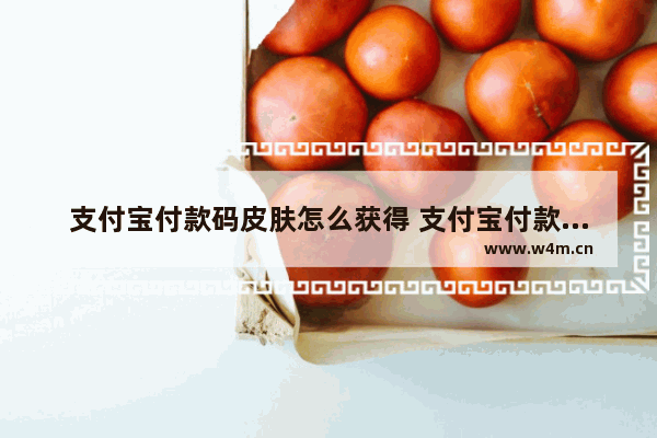 支付宝付款码皮肤怎么获得 支付宝付款码怎么换皮肤