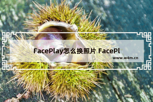 FacePlay怎么换照片 FacePlay如何添加更换照片