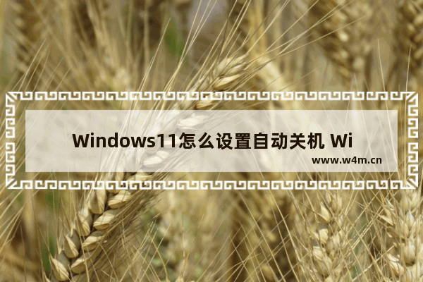 Windows11怎么设置自动关机 Windows11设置自动关机方法