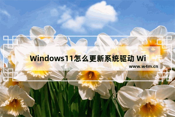 Windows11怎么更新系统驱动 Windows 11更新系统驱动教程