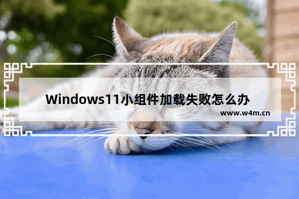 Windows11小组件加载失败怎么办 Windows11小组件加载失败解决办法