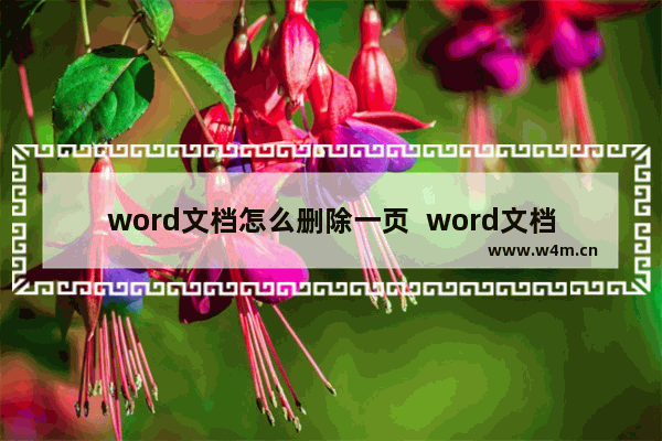 word文档怎么删除一页  word文档怎么删除多余的空白页面