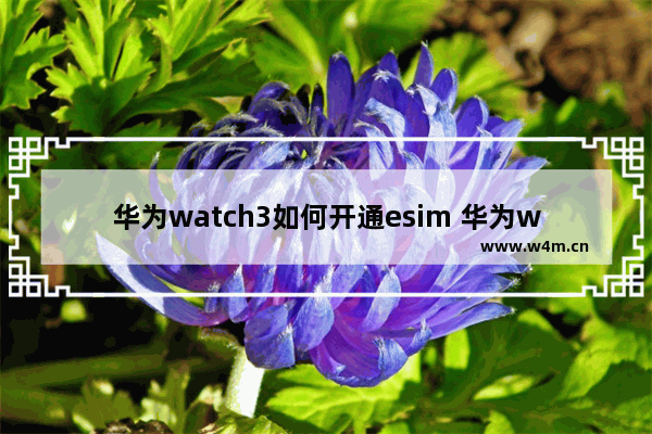 华为watch3如何开通esim 华为watch3开通eSIM方法教程