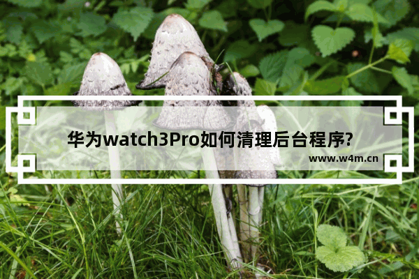 华为watch3Pro如何清理后台程序? 华为watch3Pro清理后台应用的方法