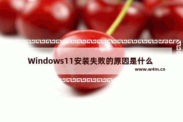 Windows11安装失败的原因是什么 Windows11安装失败的解决方法