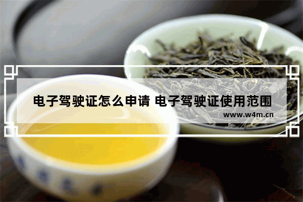 电子驾驶证怎么申请 电子驾驶证使用范围