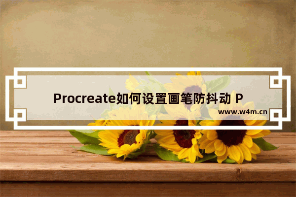 Procreate如何设置画笔防抖动 Procreate画笔防抖动设置方法分享