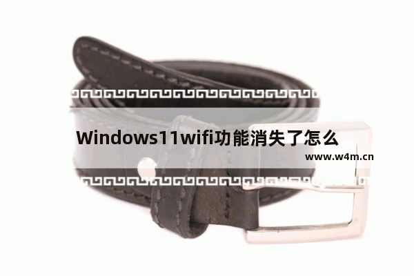 Windows11wifi功能消失了怎么回事 Windows11wifi功能消失了解决办法