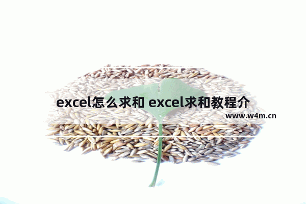 excel怎么求和 excel求和教程介绍