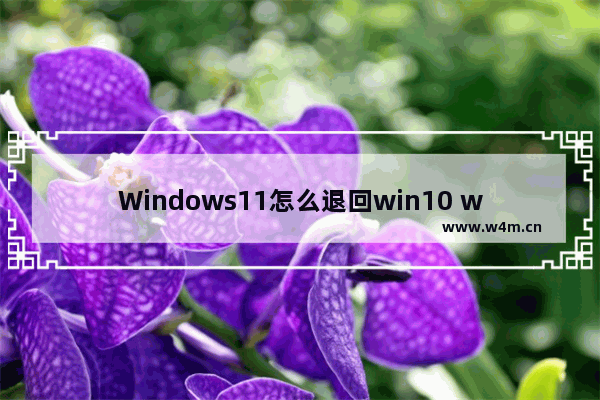 Windows11怎么退回win10 windows11怎么退回windows10