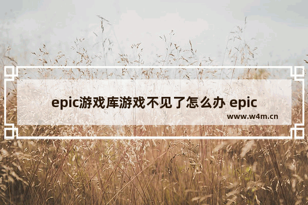 epic游戏库游戏不见了怎么办 epic游戏库游戏不见了解决办法