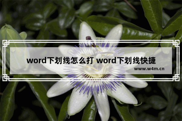 word下划线怎么打 word下划线快捷键介绍