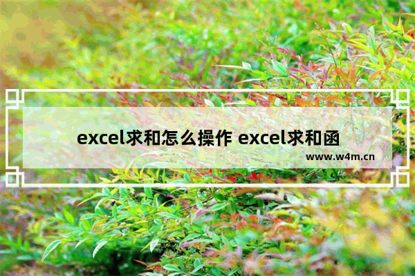 excel求和怎么操作 excel求和函数教程