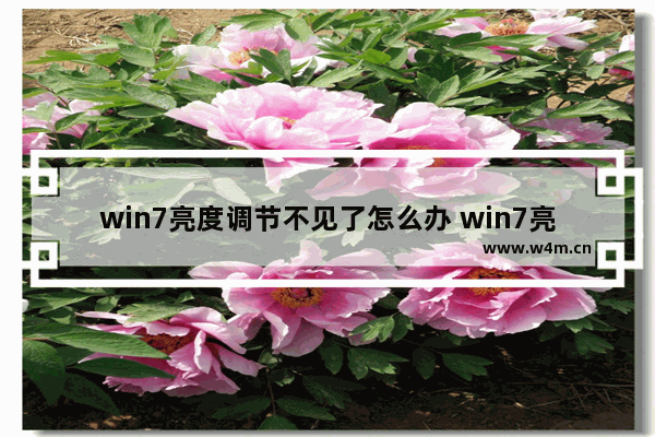 win7亮度调节不见了怎么办 win7亮度调节不见了解决办法