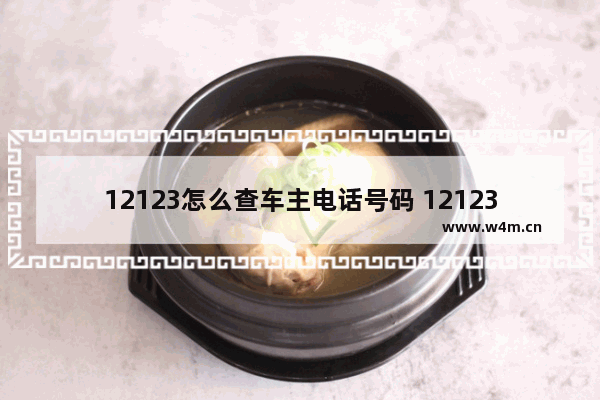 12123怎么查车主电话号码 12123挪车号码查询方法