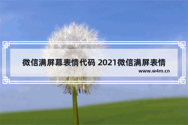 微信满屏幕表情代码 2021微信满屏表情代码大全图解