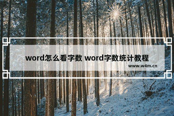 word怎么看字数 word字数统计教程